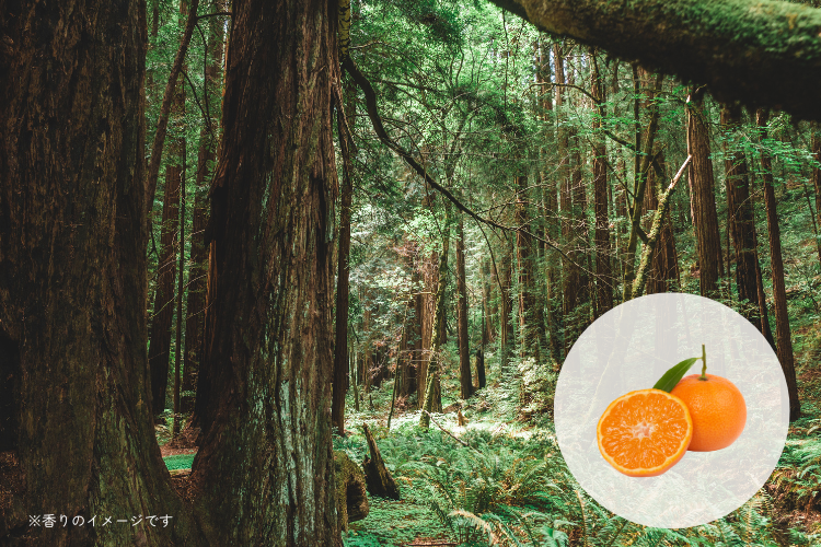 【2点セット】おやすみアロマセット