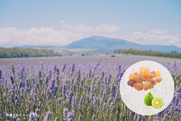 【4点セット】ママケアよくばりセット